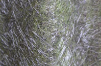 Lawton Heath End fibreglass roof work